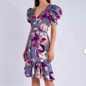 PatBO Iris Floral Print V-Neck Belted Ruffle Mini Dress - Size 4
